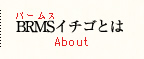 バームスいちごとは