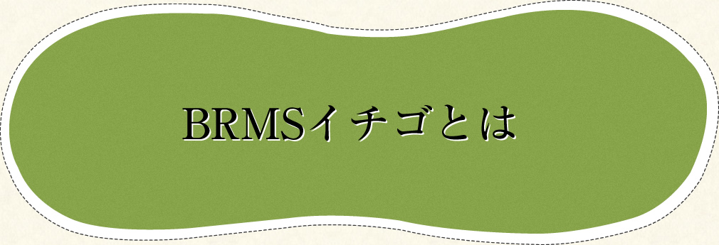 BRMSいちごとは